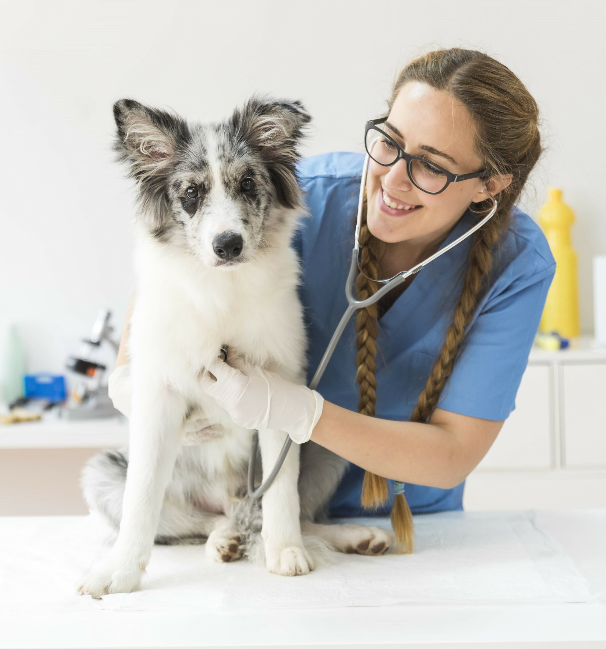 https://vetclinic23.ru/wp-content/uploads/2025/01/female-veterinarian-examining-dog-with-stethoscope-table-clinic-scaled-optimized.jpg