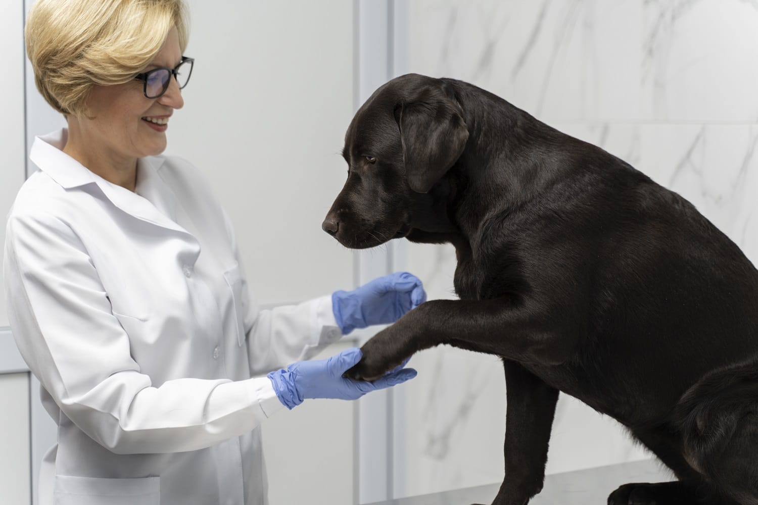 https://vetclinic23.ru/wp-content/uploads/2026/07/nevrolog-optimized.jpg